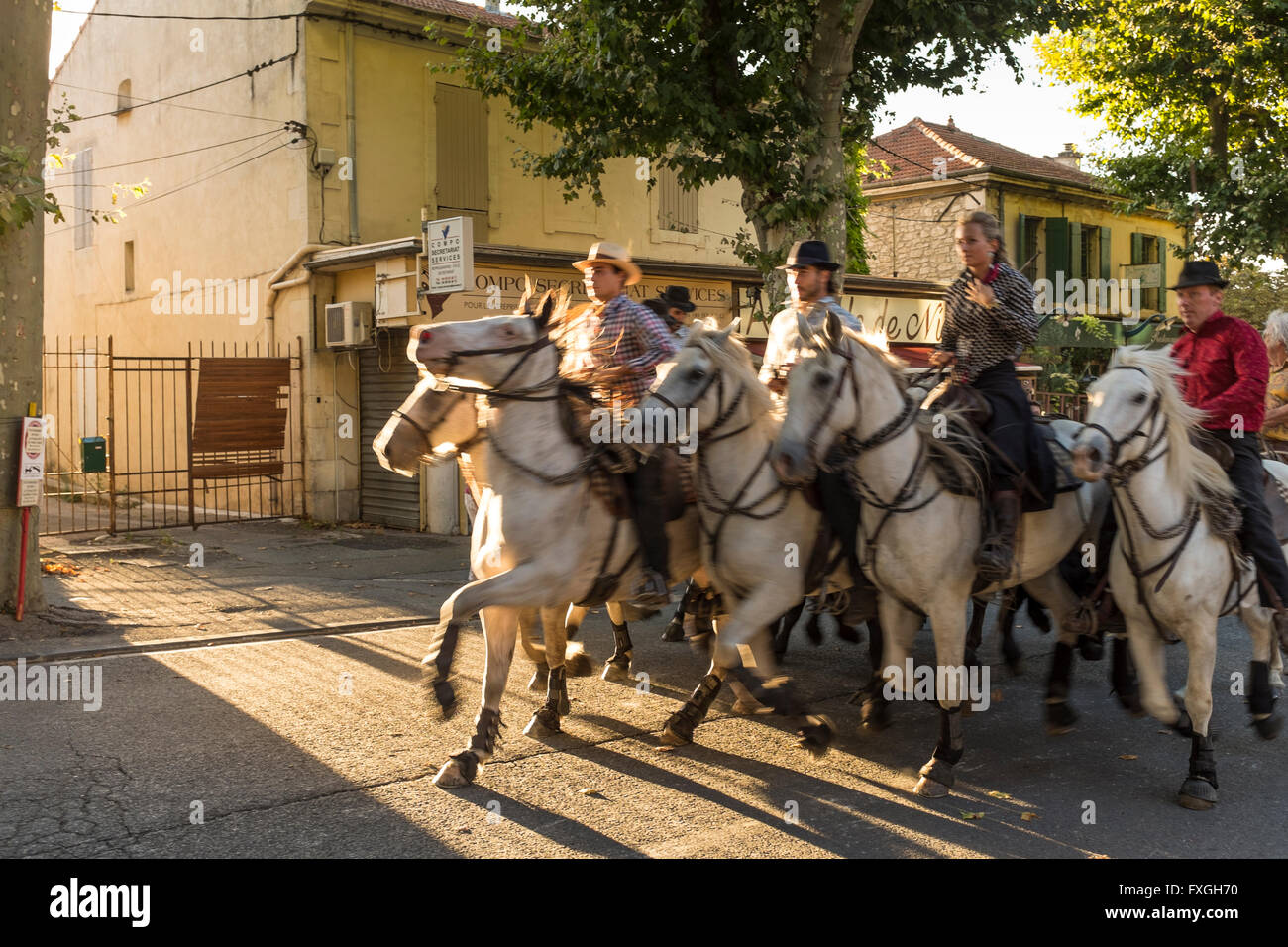 Olympiades Camarguaises racing beim Sommerfest in der Stadt von Saint Rémy de Provence, Bouches du Rhône, Provence, Frankreich Stockfoto