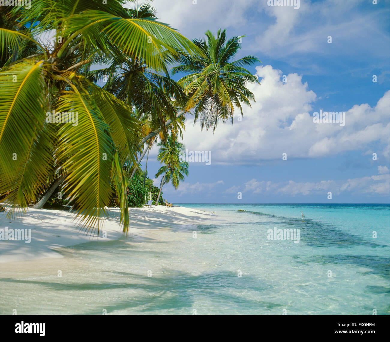 Tropischer Strand auf der Insel Nakatcha Fushi auf den Malediven Stockfoto