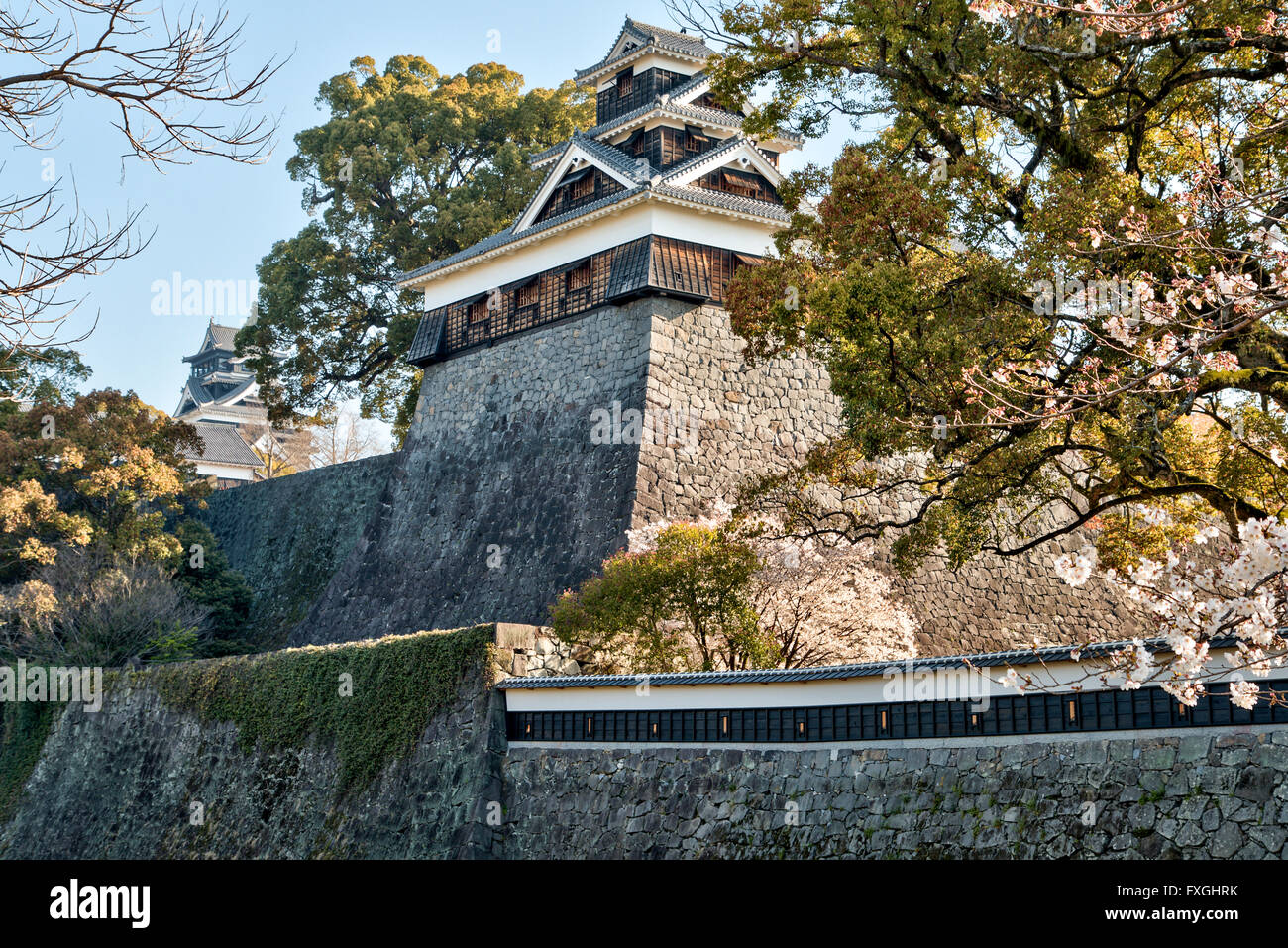 Schloss Kumamoto, Iidamaru gehen - kai Yagura, Fünf stöckigen Turm, Turm, und Kirschblüten, mit Blick auf den Bizen Moat gegen den blauen Himmel. Vor dem Erdbeben. Stockfoto