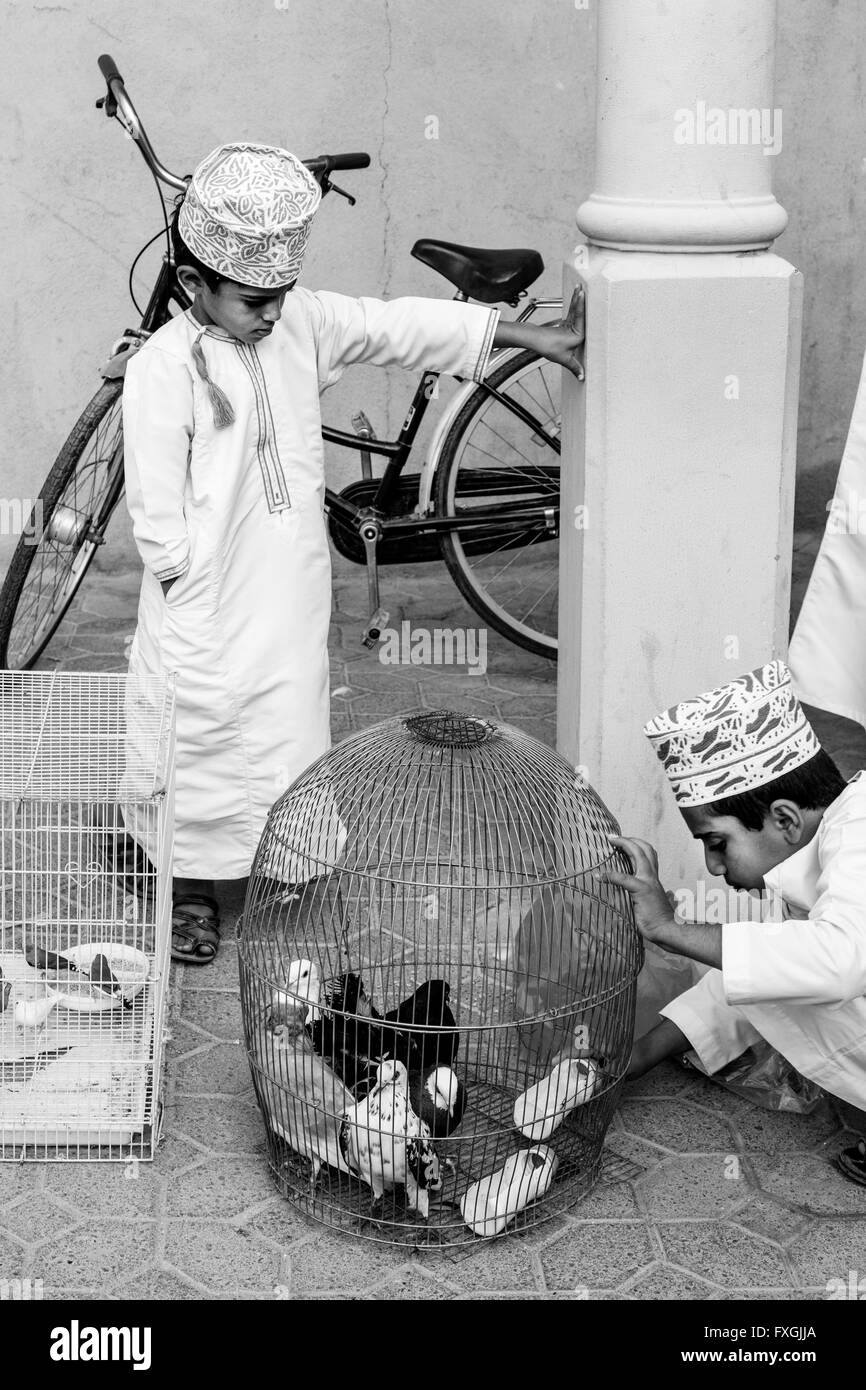 Eine omanische Boy verkauft exotische Vögel am Freitag Vogel Markt, Nizwa, Ad Dakhiliyah Region, Oman Stockfoto