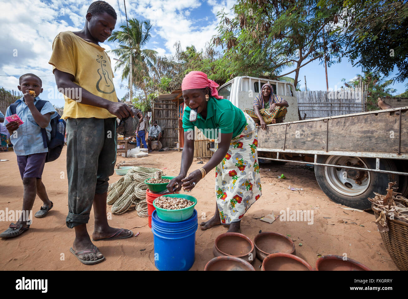 Mosambik, Männer und Frauen bei Arbeiten in der Mitte der Plantage mit LKW. Stockfoto
