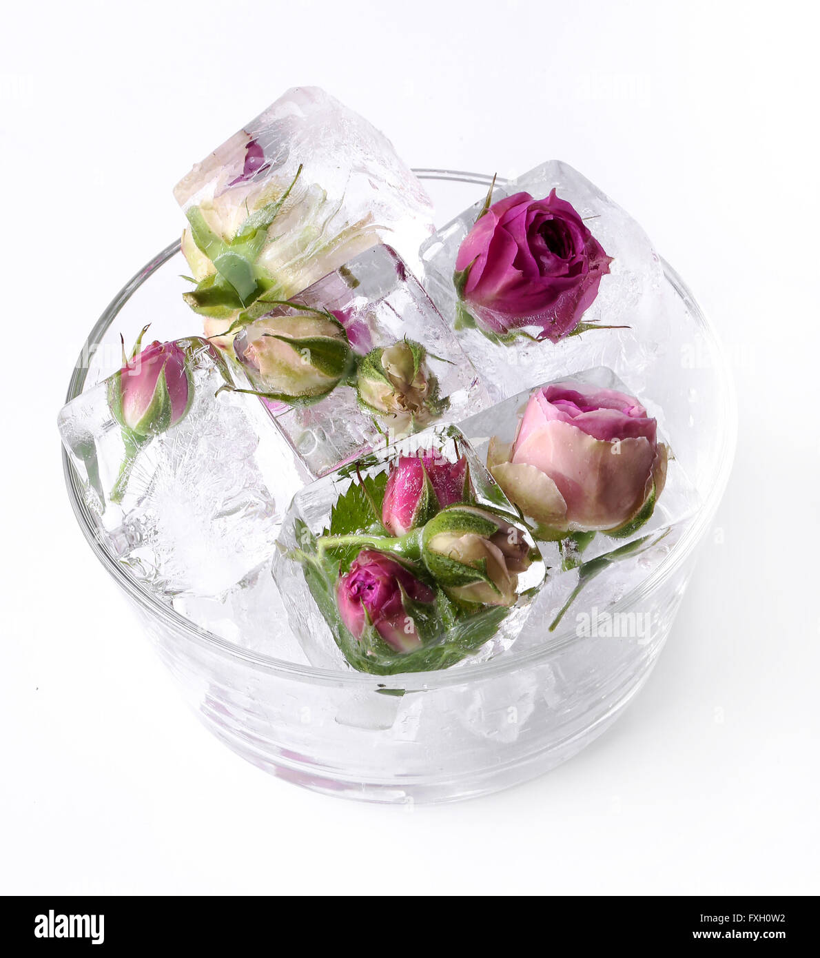 Gefrorene rose Stockfoto