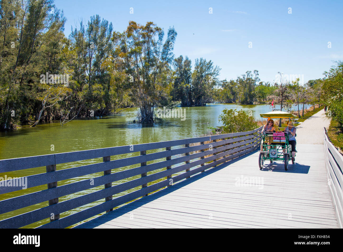 Regionalpark Seen in Lee County an der Golfküste in Fort Myers Florida Stockfoto