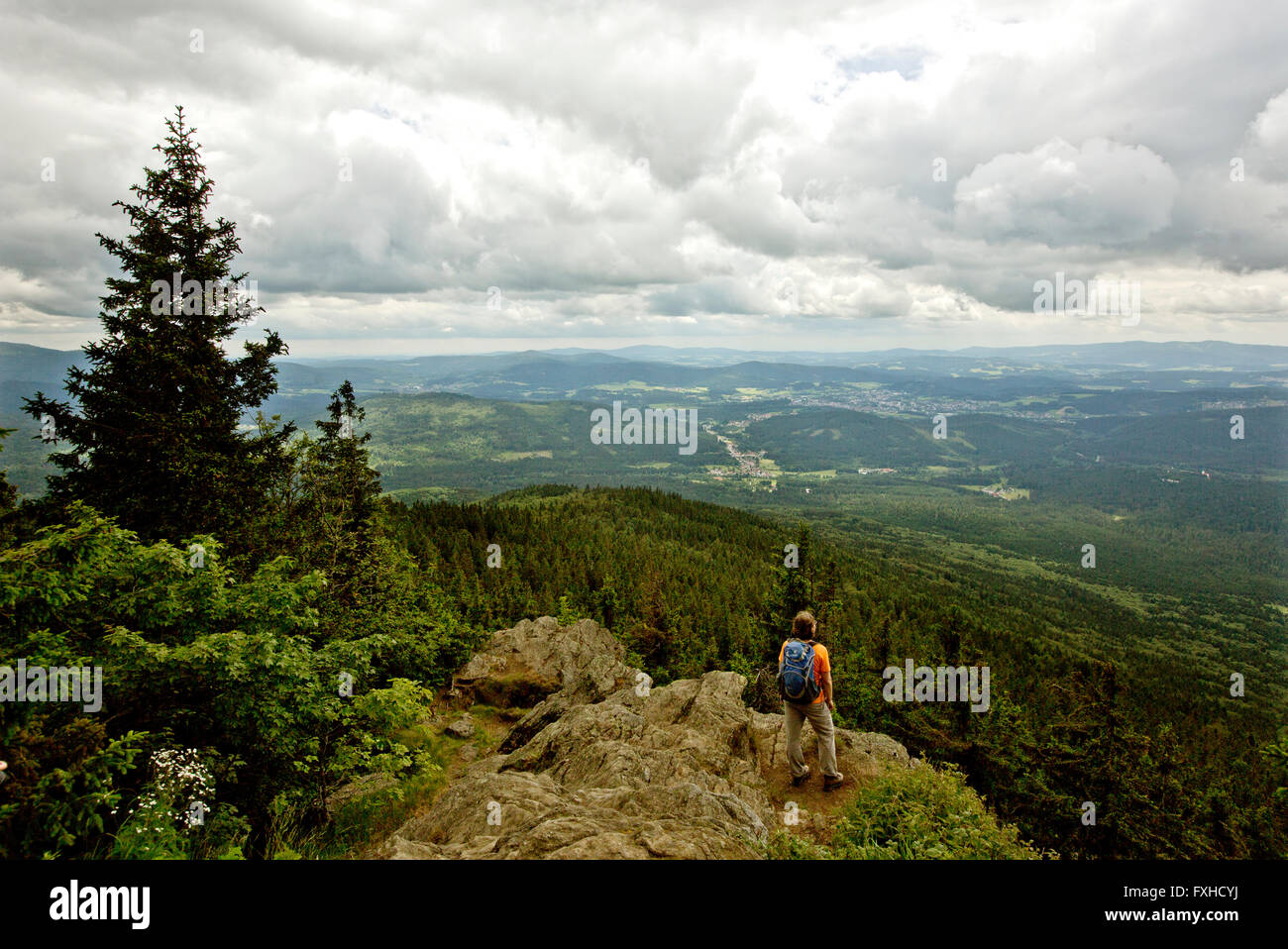 Ein Walker in den Bayerischen Wald Nationalpark, Bayern, Deutschland Stockfoto