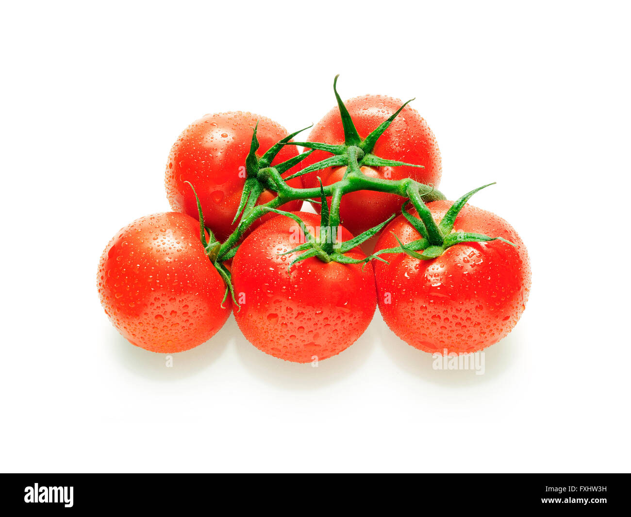 Fünf nassen Tomaten auf dem Ast Stockfoto