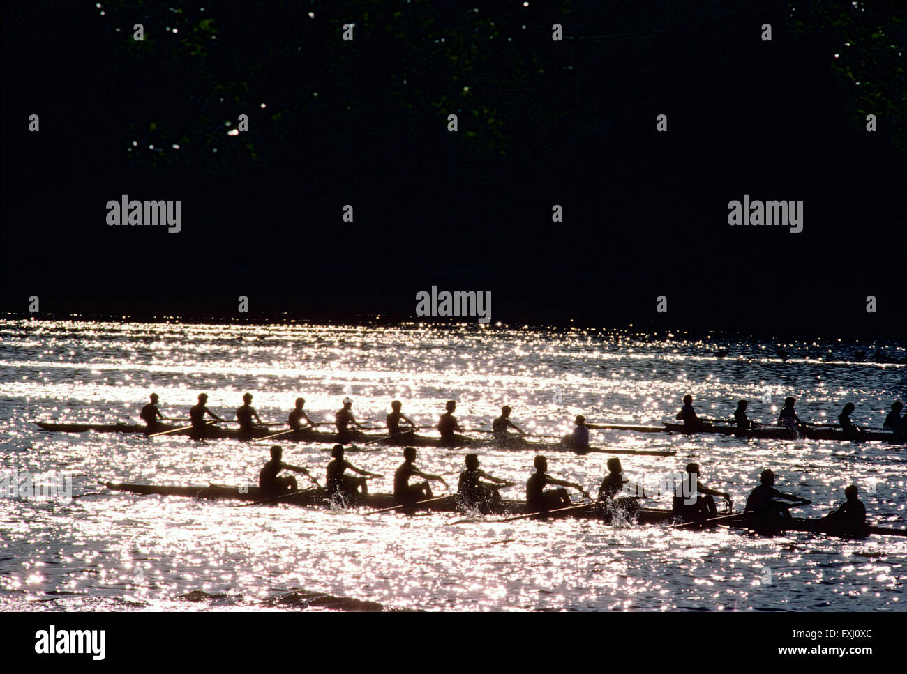 Paddler in den Kopf der Schuylkill Regatta Rudern; Delaware River; Philadelphia; Pennsylvania; USA Stockfoto