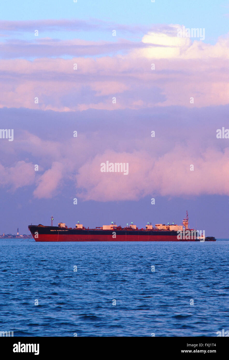 Frachter im Hafen von Charleston, Charleston, South Carolina, USA Stockfoto