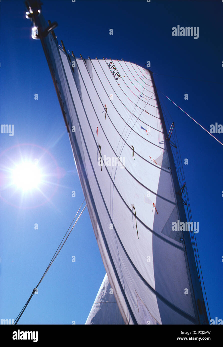 Blick von Großsegel auf Katamaran Segelboot nach oben; Golf von Mexiko; in der Nähe von Sarasota; Florida; USA Stockfoto