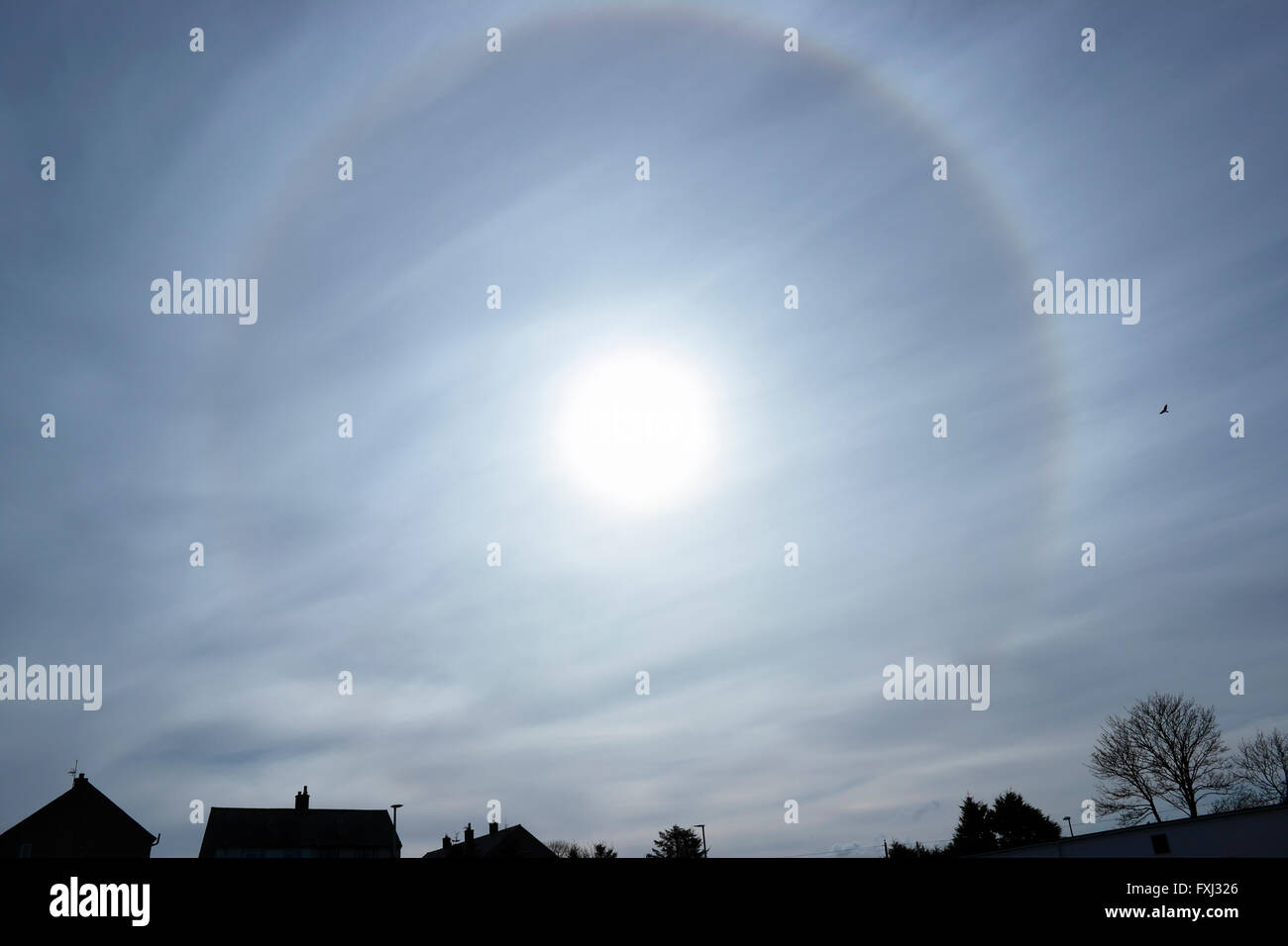 Eine ungewöhnliche 22° Halo kreisförmigen Regenbogen um die Sonne durch die Beugung von Licht durch Eiskristalle in der Atmosphäre verursacht. Sun Hund. Stockfoto