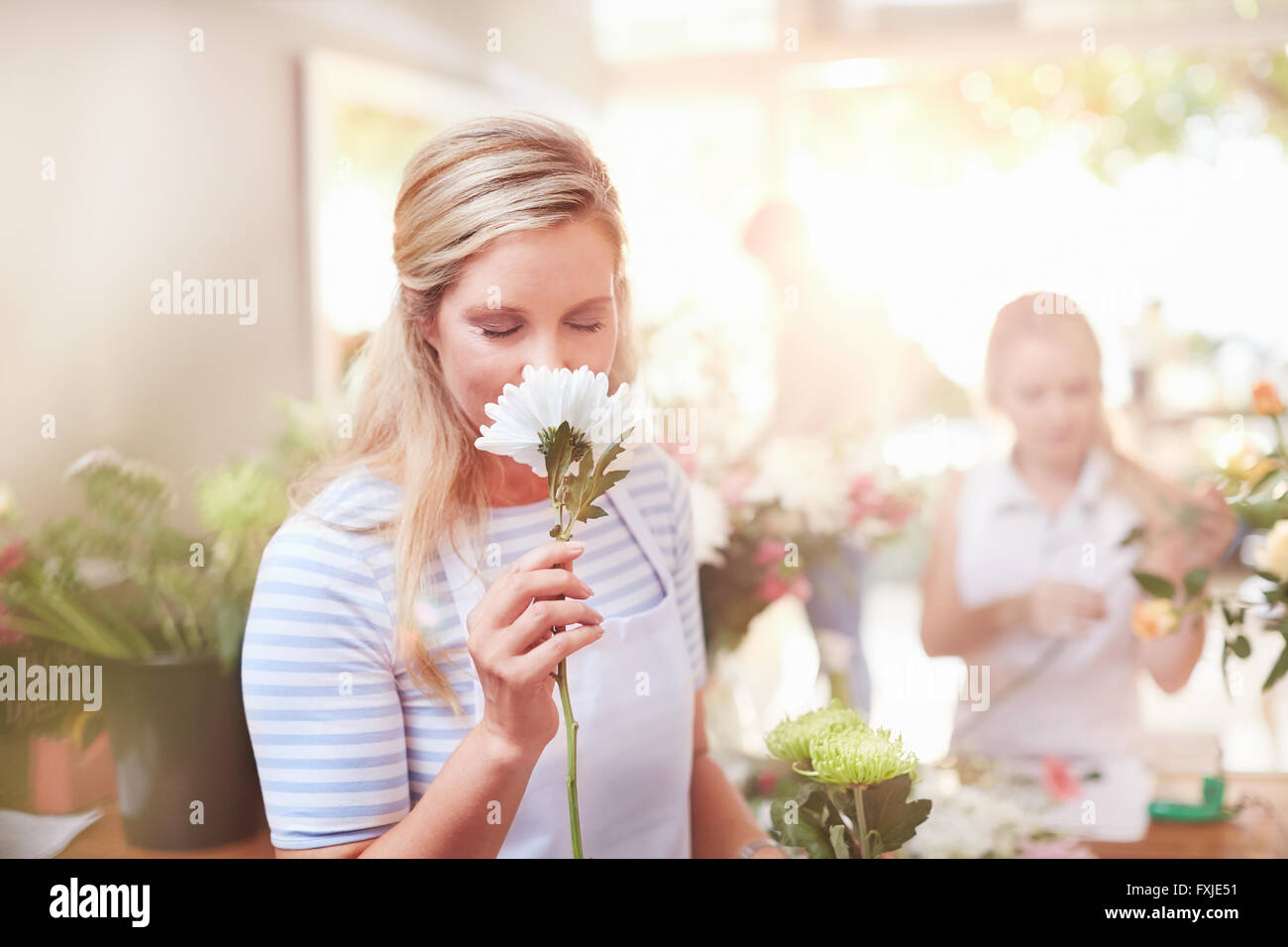 Duftende weiße Blume in Blumenladen Blumengeschäft Stockfoto