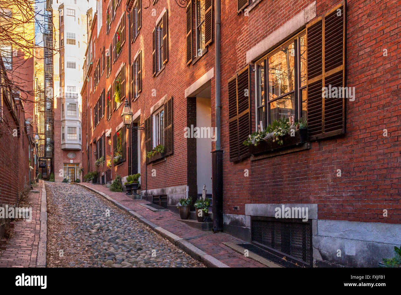 Acorn St im Beacon Hill Viertel von Boston, einer engen gepflasterten Straße mit historischen Molkhäusern, Boston, Massachusetts, USA Stockfoto