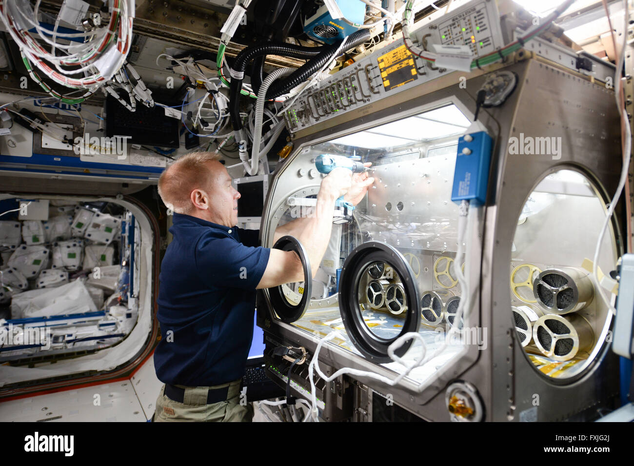 Internationale Raumstation ISS-Expedition 47 Commander Astronaut Tim Kopra konfiguriert Microgravity Science Glovebox für zukünftige Forschung innerhalb der Destiny-Modul 7. April 2016 in der Erdumlaufbahn. Stockfoto