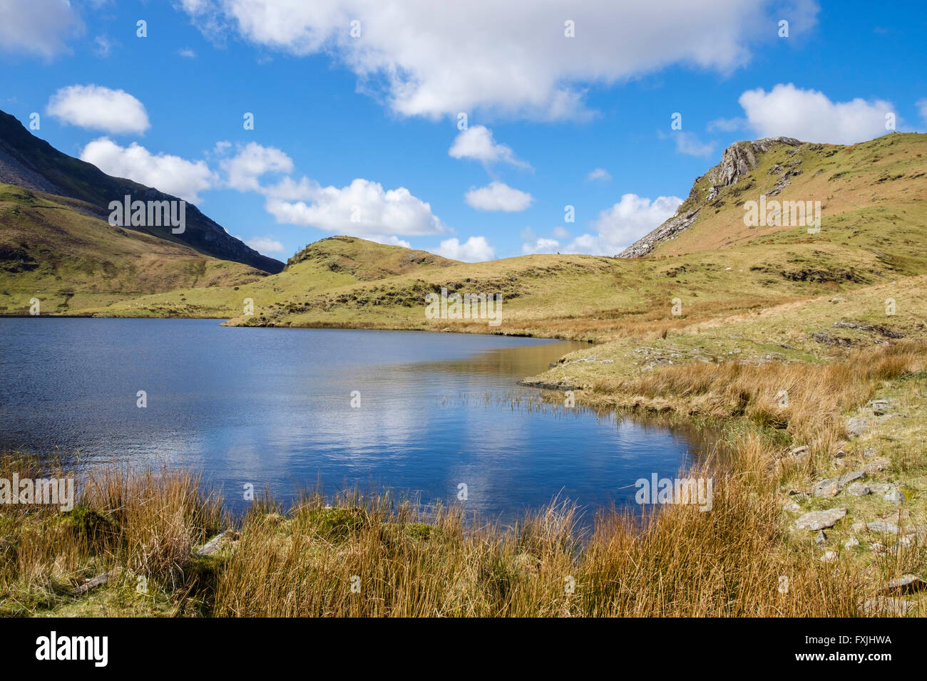 Blick über Llyn y Dywarchen Stausee in Richtung Clogwyn y Garreg auf rechten Seite im Snowdonia National Park. Rhyd Ddu Nordwales UK Stockfoto