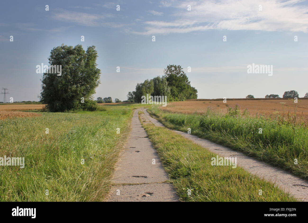 Ein Blick auf eine Landstraße in Mecklenburg-Vorpommern, Deutschland. Bild entstand mit einem HDR imaging Technik. Stockfoto