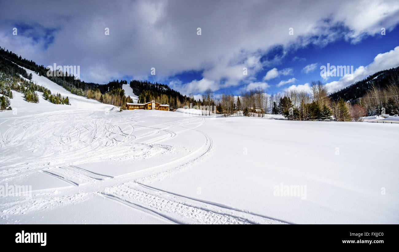 Tiefschnee-Pack und schneebedeckte Bäume im Dorf von Sun Peaks in den Shuswap Highlands in Zentral British Columbia Stockfoto