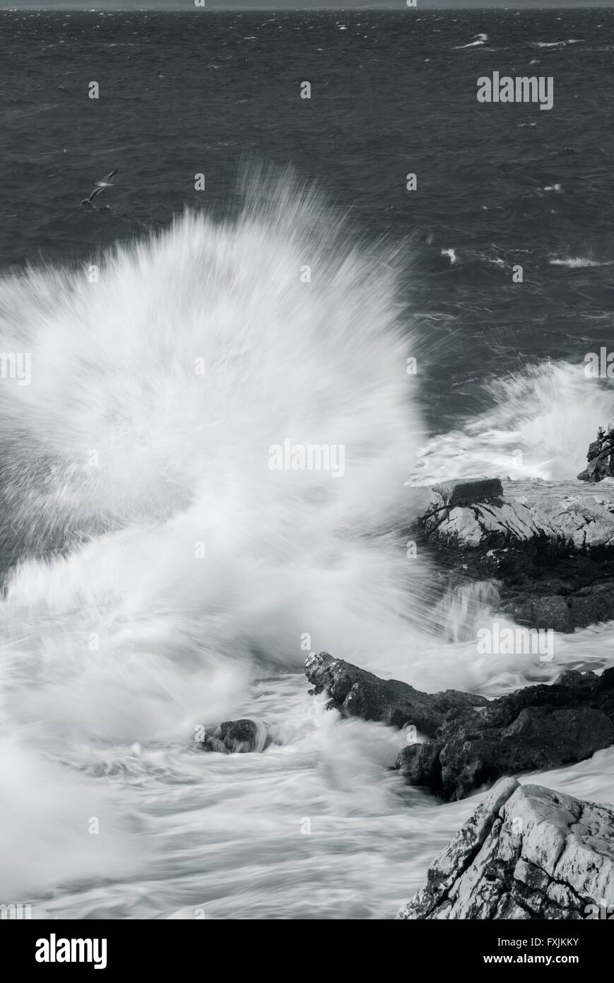 Stürmische Wellen Stockfoto