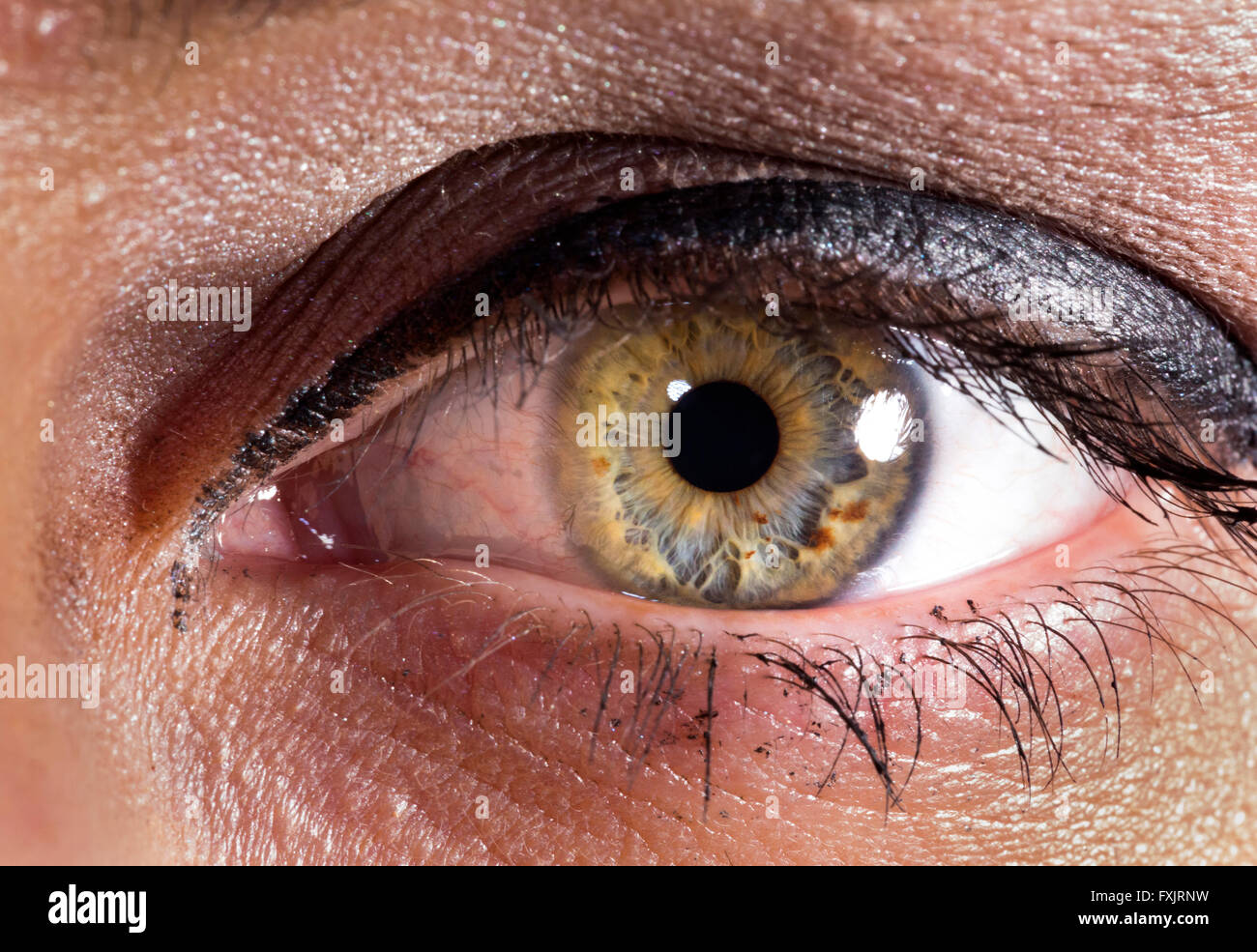 Nahaufnahme der menschlichen weiblichen Auge Stockfoto