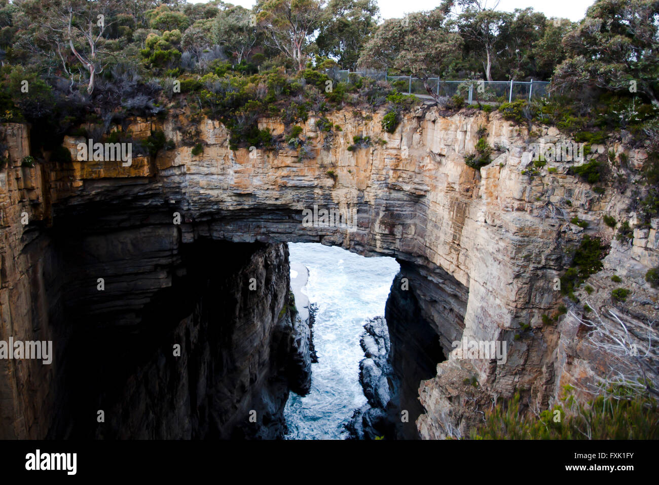 Tasman Arch - Tasmanien Stockfoto