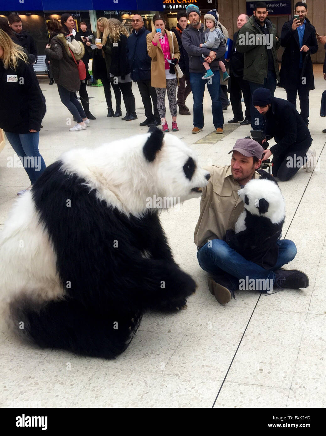 Chessington World of Adventures bringen lebensechte Animatronic Pandas zur Waterloo Station um zu versuchen zu fördern "Pandamonium" - die neue Attraktion des Freizeitparks Featuring: Atmosphäre wo: London, Vereinigtes Königreich bei: 15. März 2016 Stockfoto