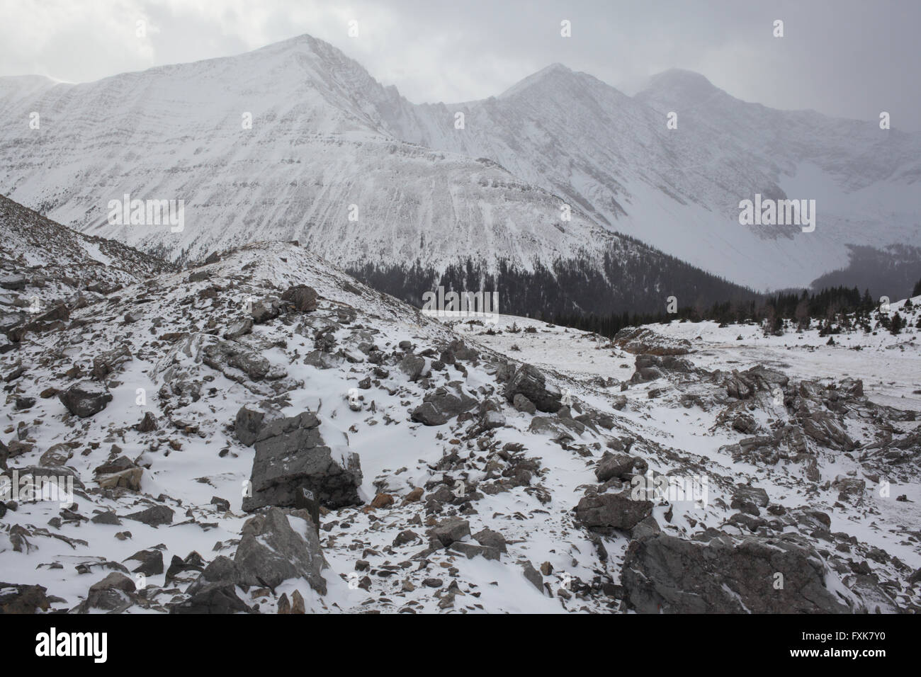 Verschneite Natur des Bereichs Ptarmigan Cirque Trail im Kananaskis Country Stockfoto