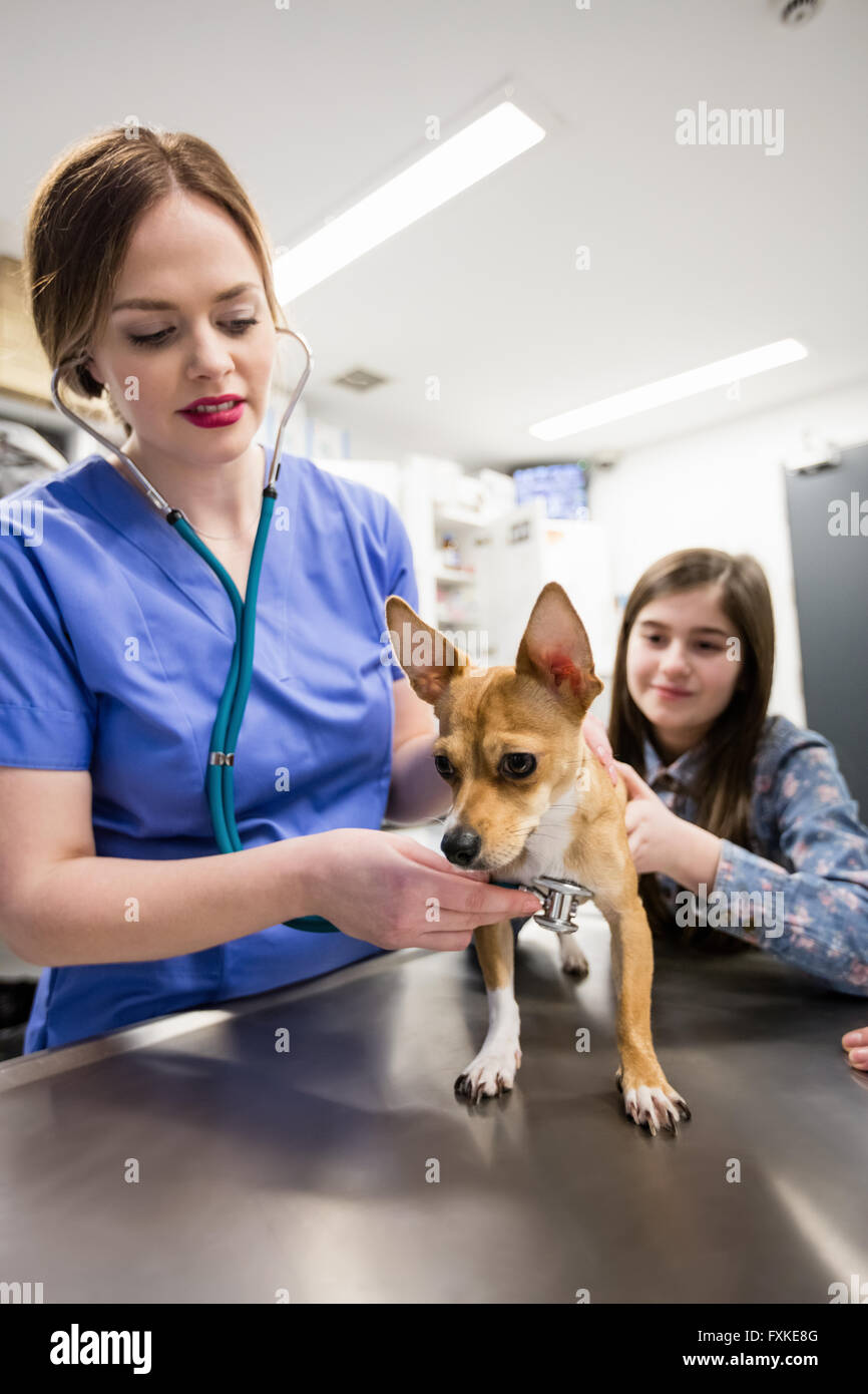 Tierarzt untersuchen Hund mit seinem Besitzer Stockfoto