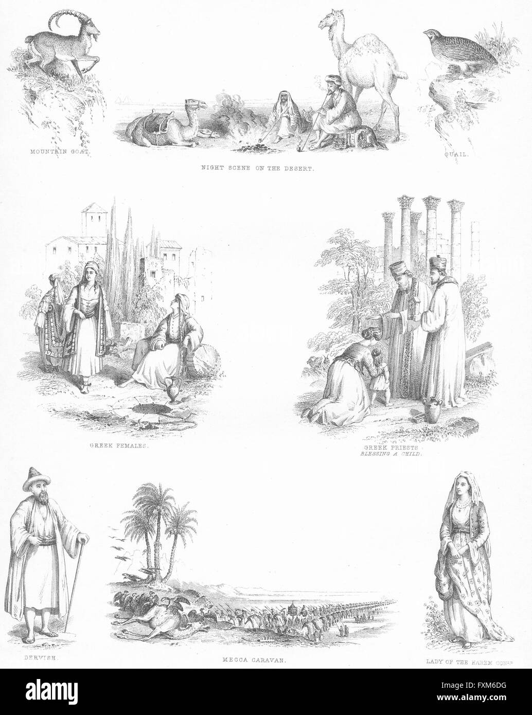 Balkan: Griechen; Derwisch; Mekka Wohnwagen; Harem Conle, antiken print c1849 Stockfoto