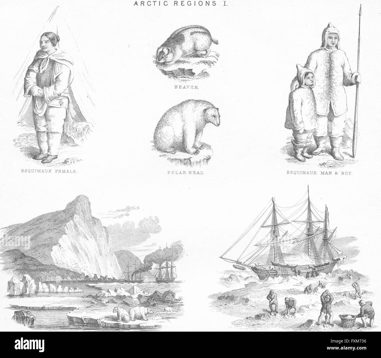 Arktis: Eskimos; Eisbär; Cape Hotham, Frosen, antike print c1849 Stockfoto