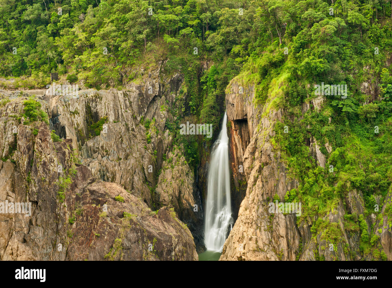 Barron Falls im Norden von Queensland von Regenwald umgeben. Stockfoto