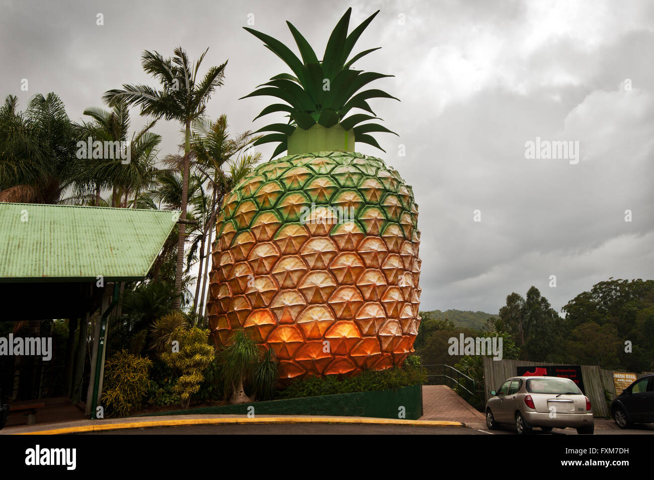 Die denkmalgeschützte große Ananas an der Sunshine Coast von Queensland. Stockfoto