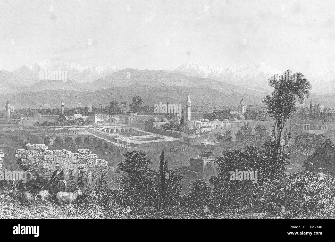 Syrien: Tarsus, Stadt in Cilicia: Bartlett Schafe, antique print 1840 Stockfoto