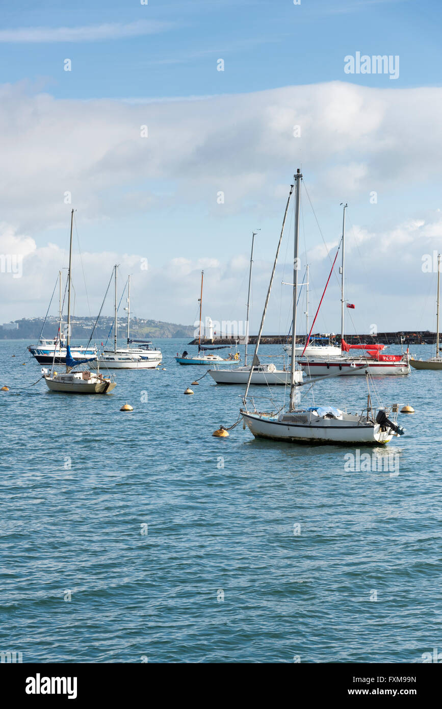 Yachten ankern im Hafen von Brixham Devon UK Stockfoto