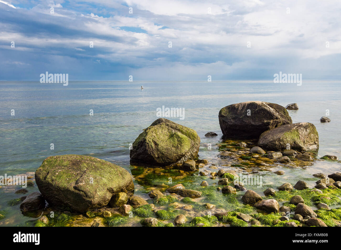Findlinge am Ufer der Ostsee Stockfoto