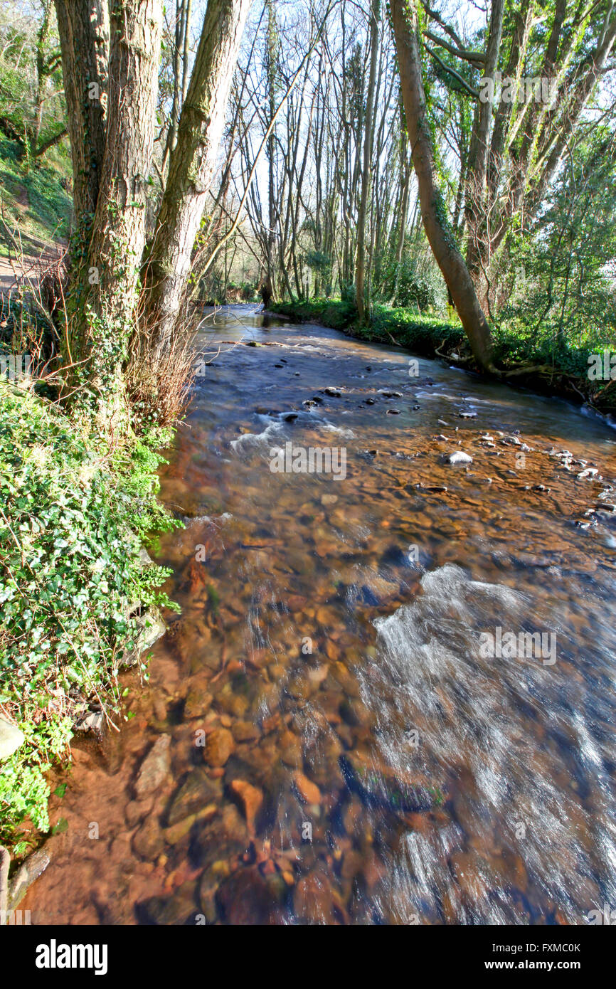 Untiefen auf der Fluss Aller, Somerset Stockfoto