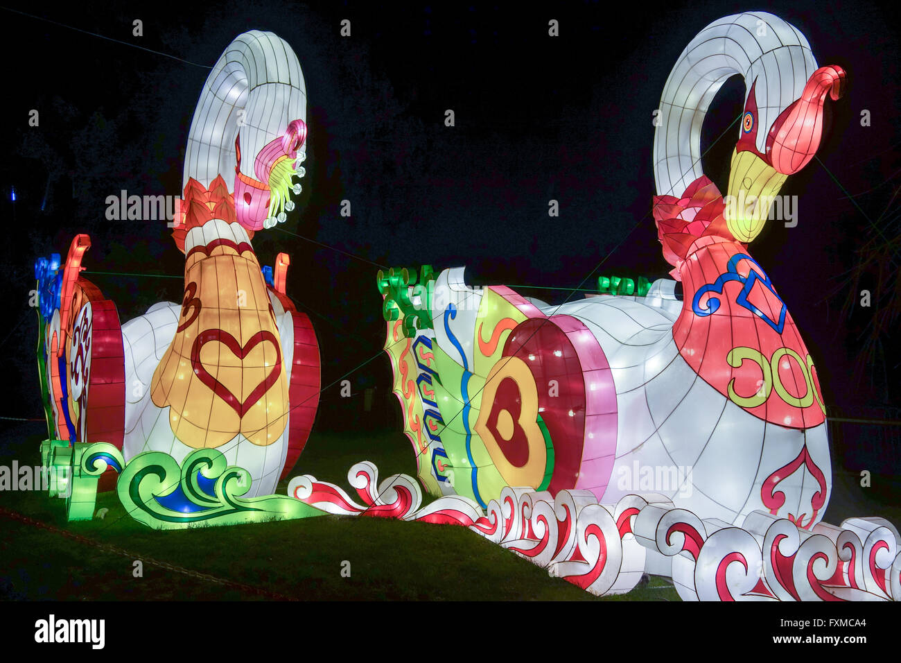 Ein paar der Schwäne auf dem magischen Laterne-Festival feiert das Jahr des Affen in Chiswick Park in London. Stockfoto