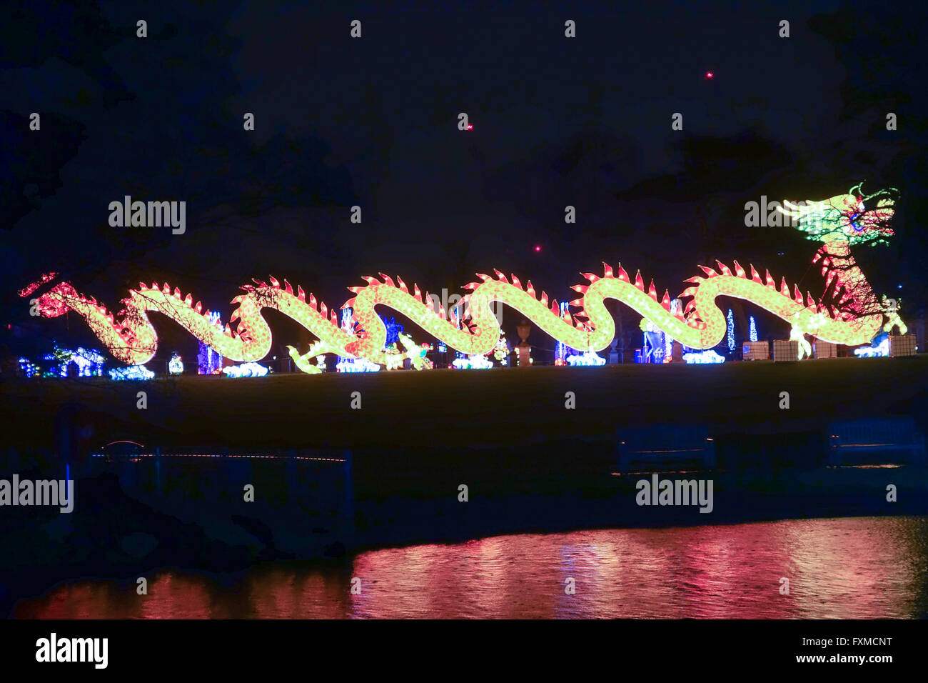 Ein Drache auf dem magischen Laterne-Festival feiert das Jahr des Affen in Chiswick Park in London. Stockfoto