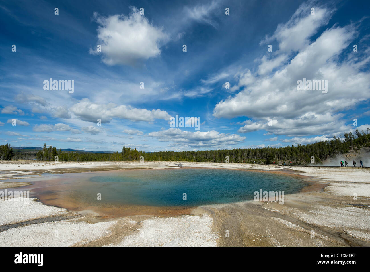 Yellowstone-Nationalpark, Wyoming, Vereinigte Staaten von Amerika Stockfoto