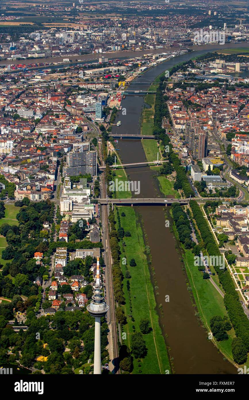 Luftaufnahme, mit Blick auf den Neckar in Mannheim, Mannheim, Baden-Württemberg, Deutschland, Europa, Luftbild, Stockfoto