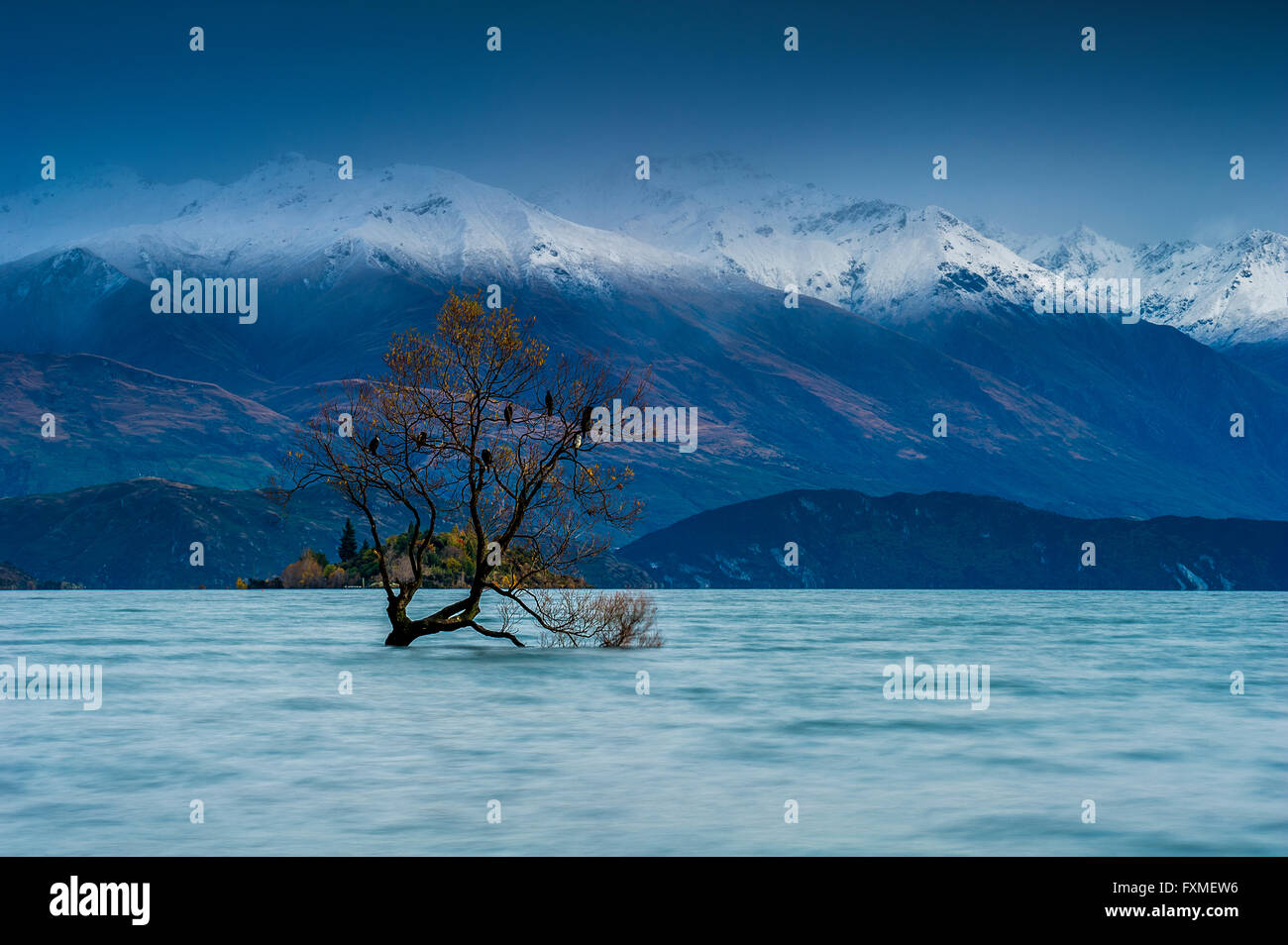 Lake Wanaka, Südinsel, Neuseeland Stockfoto