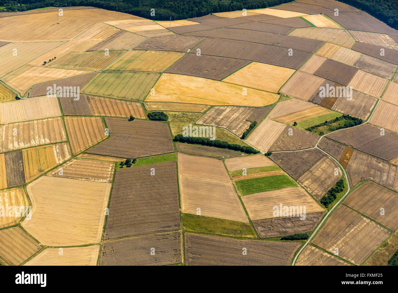 Luftbild, geerntete Felder, kleine Felder von Ländereien, Landwirtschaft, Aarbergen, Hessen, Deutschland, Europa, Luftaufnahme, Vögel-Augen Stockfoto