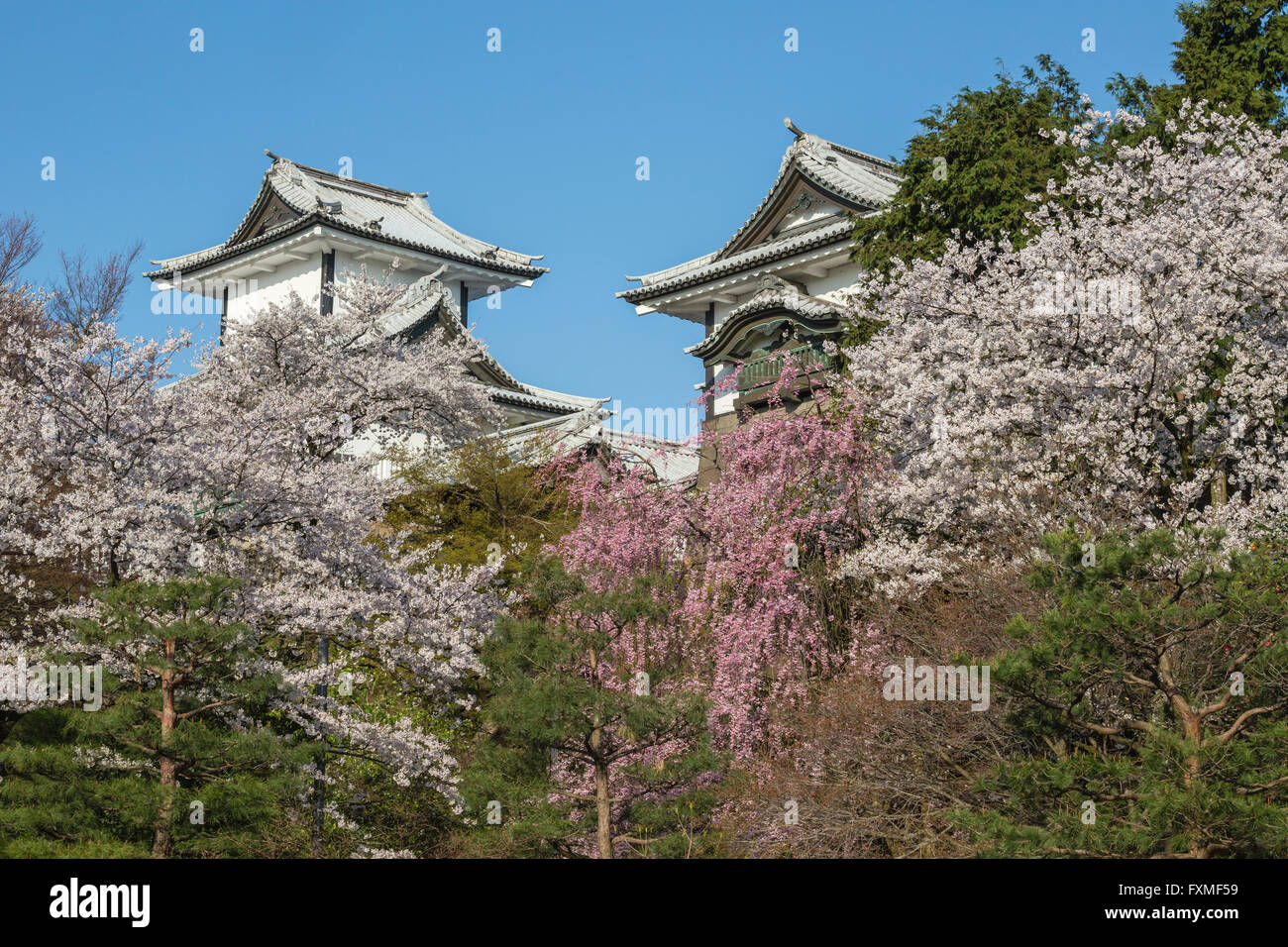 Kanazawa Castle, Kanazawa, Japan Stockfoto