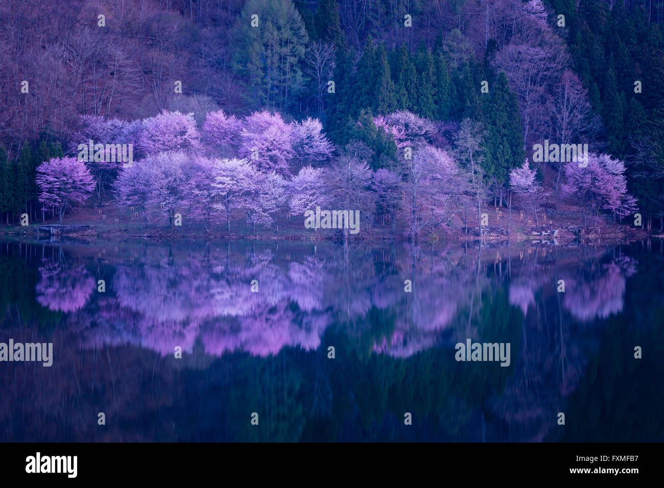 Lake Nakatsuna, Omachi, Japan Stockfoto