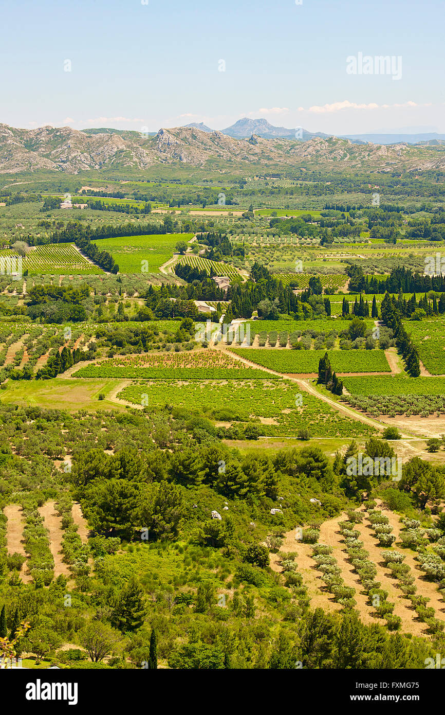 Übersicht von Les Baux de Provence, Frankreich Stockfoto