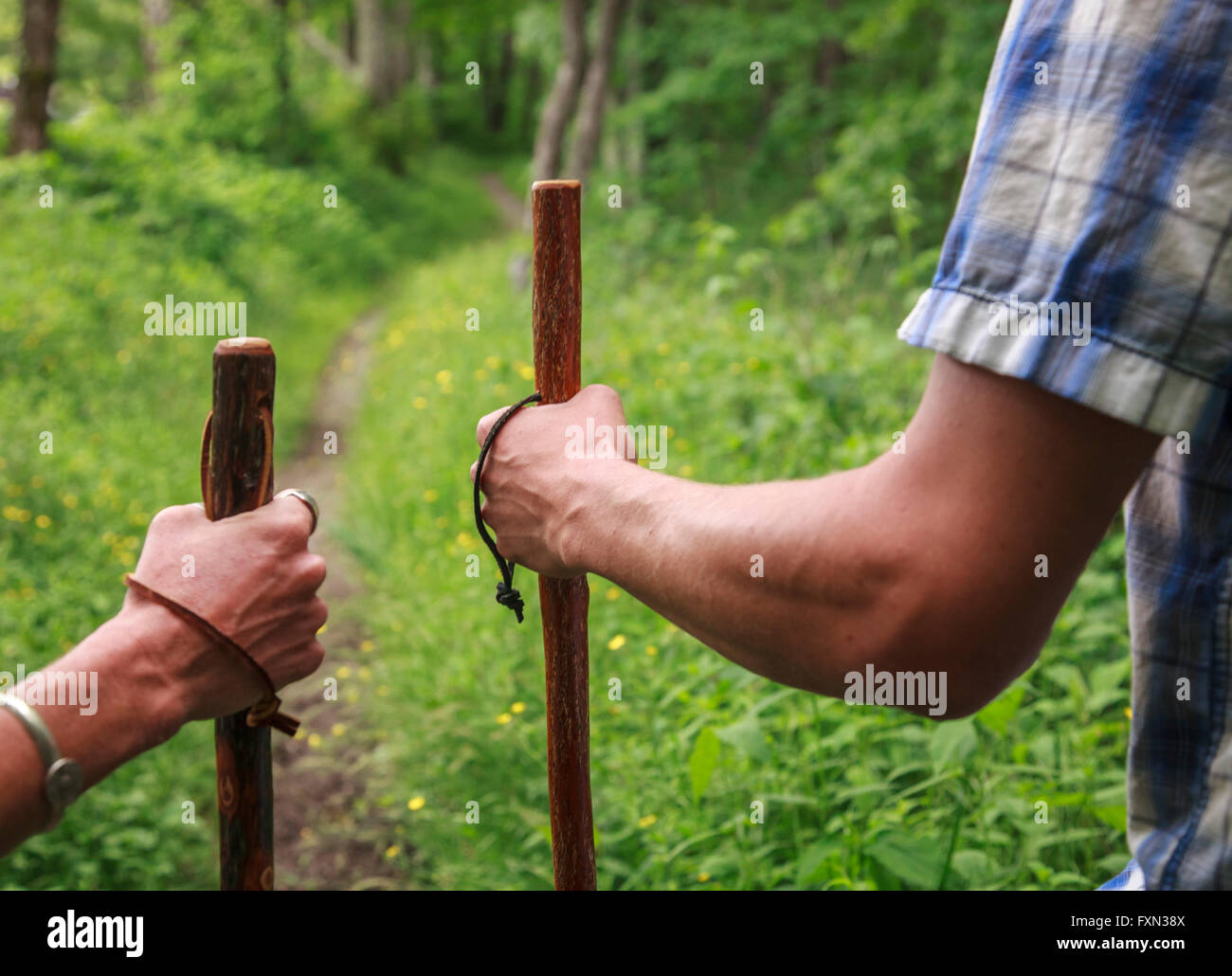 Paar Wandern in Smoky Mountains National Park, Maggie Valley, North Carolina, USA Stockfoto