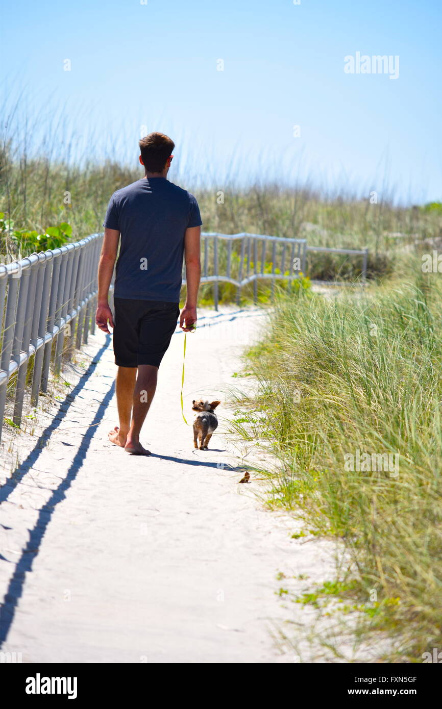 Junger Mann geht kleine Hund Sandy Beach Weg Stockfoto