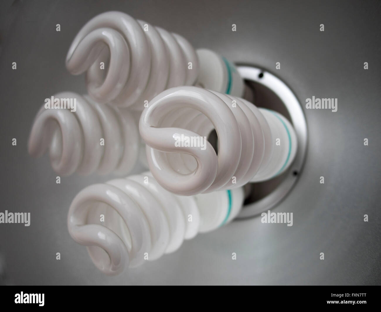Vier große Öko-niedrig-Energie-Spirale Lighbulbs. Stockfoto