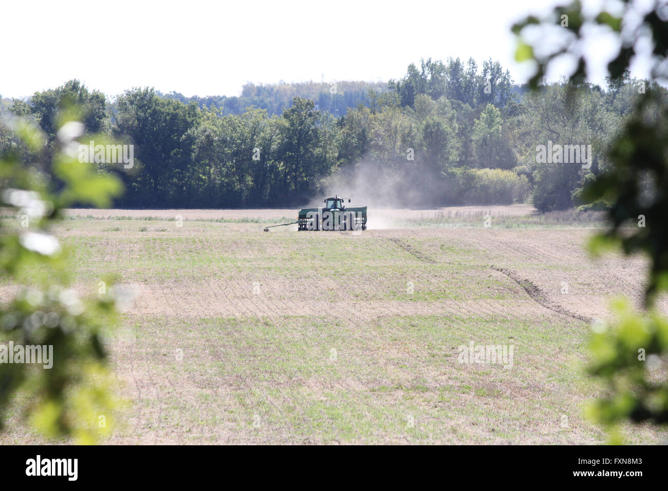 Ende der Vegetationsperiode, Vorbereitung der Ernte-Feld für die nächste Pflanzung durch Besprühen. Stockfoto