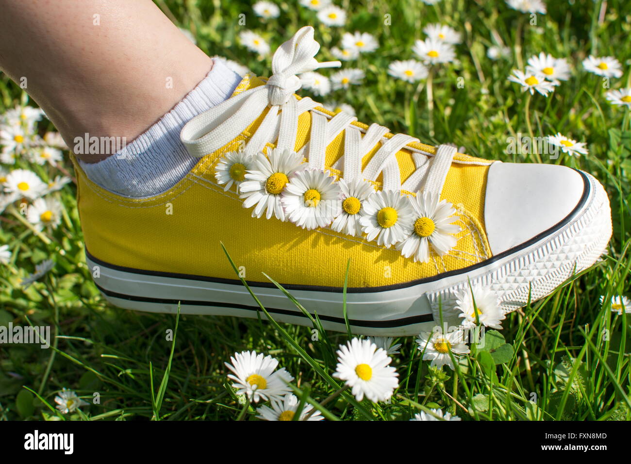 Gelbe Turnschuhe dekoriert mit Gänseblümchen in einem Dasiy Feld Stockfoto