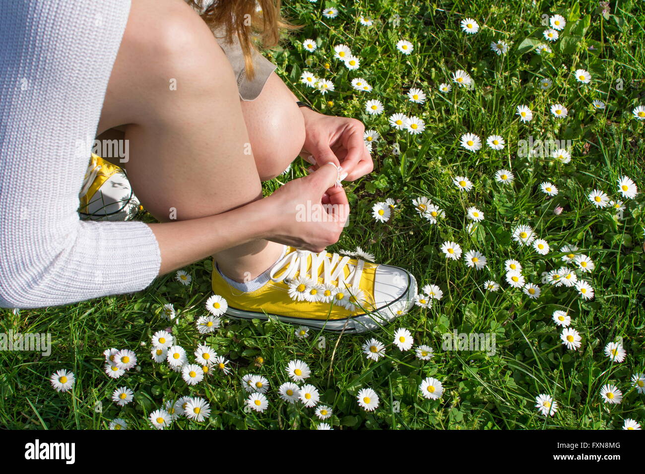 Frau pflücken Gänseblümchen in einem Daisy-Feld Stockfoto