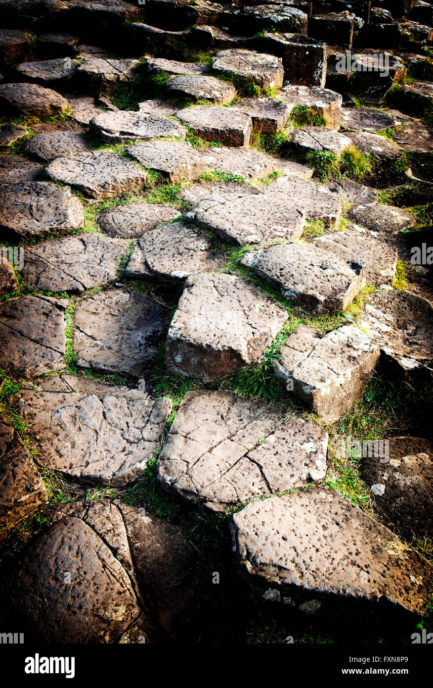 Sechseck-Felsen an Giants Causeway, Irland Stockfoto