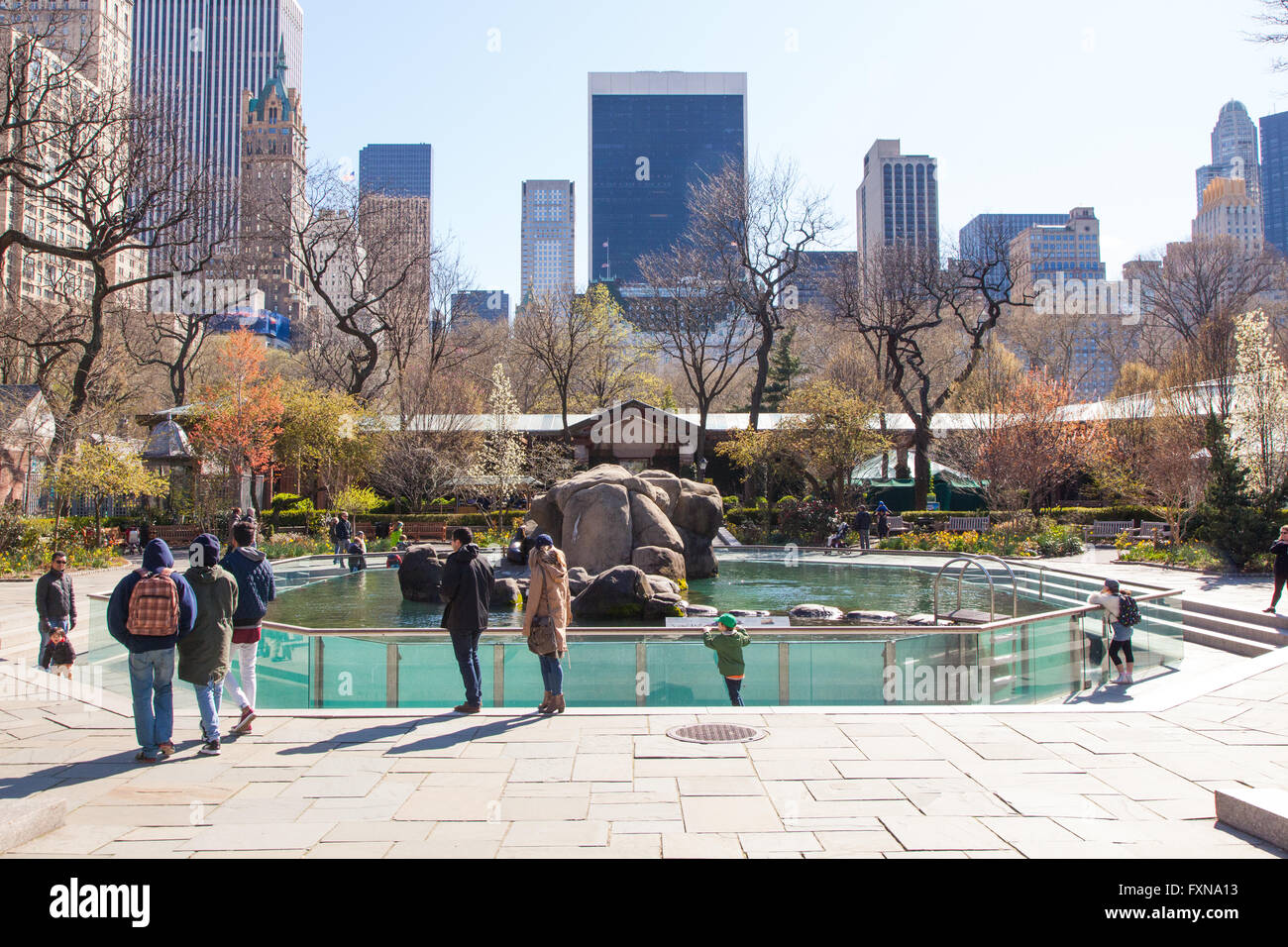 Kalifornische Seelowen Gehause Central Park Zoo Manhattan New York City Vereinigte Staaten Von Amerika Stockfotografie Alamy